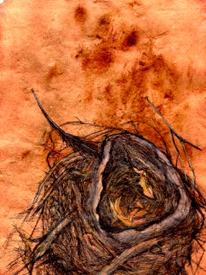 Nest of mud and sticks