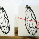 Cicada Wing Cards